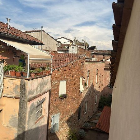 La Casa Del Galletto - At The Top Of The City Lucca Buitenkant foto